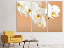 Laden Sie das Bild in den Galerie-Viewer, Leinwandbild 3-teilig Weisse Orchideenblüten