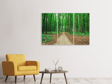 Laden Sie das Bild in den Galerie-Viewer, Leinwandbild 3-teilig Tannenwald