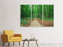 Laden Sie das Bild in den Galerie-Viewer, Leinwandbild 3-teilig Tannenwald