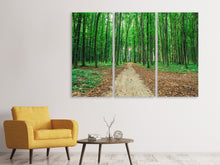 Laden Sie das Bild in den Galerie-Viewer, Leinwandbild 3-teilig Tannenwald