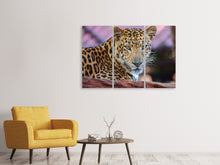 Laden Sie das Bild in den Galerie-Viewer, Leinwandbild 3-teilig Leopard