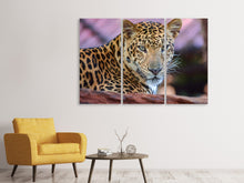 Laden Sie das Bild in den Galerie-Viewer, Leinwandbild 3-teilig Leopard