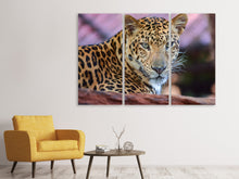 Laden Sie das Bild in den Galerie-Viewer, Leinwandbild 3-teilig Leopard