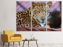 Laden Sie das Bild in den Galerie-Viewer, Leinwandbild 3-teilig Leopard