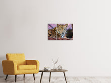 Laden Sie das Bild in den Galerie-Viewer, Leinwandbild 3-teilig Leopard