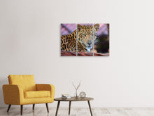 Laden Sie das Bild in den Galerie-Viewer, Leinwandbild 3-teilig Leopard
