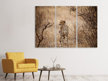 Laden Sie das Bild in den Galerie-Viewer, Leinwandbild 3-teilig Eleganter Gepard
