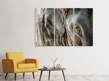 Laden Sie das Bild in den Galerie-Viewer, Leinwandbild 3-teilig Close Up Elefant