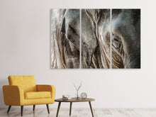 Laden Sie das Bild in den Galerie-Viewer, Leinwandbild 3-teilig Close Up Elefant
