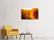 Laden Sie das Bild in den Galerie-Viewer, Leinwandbild 3-teilig Macro-Sonnenblume