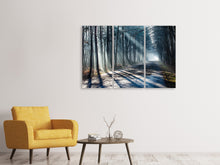 Laden Sie das Bild in den Galerie-Viewer, Leinwandbild 3-teilig Wald im Lichtstrahl