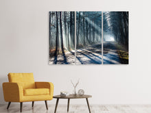 Laden Sie das Bild in den Galerie-Viewer, Leinwandbild 3-teilig Wald im Lichtstrahl