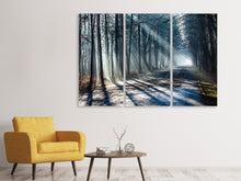 Laden Sie das Bild in den Galerie-Viewer, Leinwandbild 3-teilig Wald im Lichtstrahl