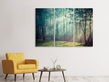 Laden Sie das Bild in den Galerie-Viewer, Leinwandbild 3-teilig Pinienwald