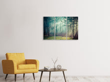 Laden Sie das Bild in den Galerie-Viewer, Leinwandbild 3-teilig Pinienwald