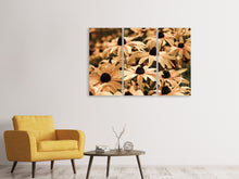 Laden Sie das Bild in den Galerie-Viewer, Leinwandbild 3-teilig Margeriten in Sepia