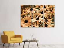Laden Sie das Bild in den Galerie-Viewer, Leinwandbild 3-teilig Margeriten in Sepia
