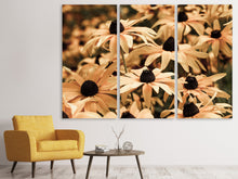 Laden Sie das Bild in den Galerie-Viewer, Leinwandbild 3-teilig Margeriten in Sepia