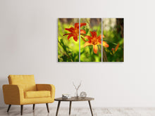Laden Sie das Bild in den Galerie-Viewer, Leinwandbild 3-teilig Lilien in der Natur