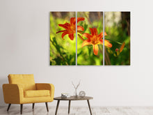 Laden Sie das Bild in den Galerie-Viewer, Leinwandbild 3-teilig Lilien in der Natur