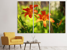 Laden Sie das Bild in den Galerie-Viewer, Leinwandbild 3-teilig Lilien in der Natur