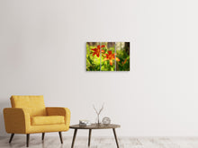 Laden Sie das Bild in den Galerie-Viewer, Leinwandbild 3-teilig Lilien in der Natur