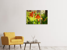 Laden Sie das Bild in den Galerie-Viewer, Leinwandbild 3-teilig Lilien in der Natur
