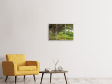 Laden Sie das Bild in den Galerie-Viewer, Leinwandbild 3-teilig Alter Baumbestand