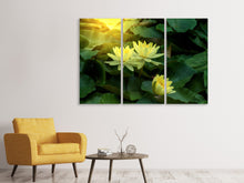 Laden Sie das Bild in den Galerie-Viewer, Leinwandbild 3-teilig Wilde Lotus