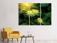 Laden Sie das Bild in den Galerie-Viewer, Leinwandbild 3-teilig Wilde Lotus
