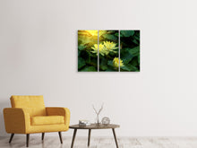 Laden Sie das Bild in den Galerie-Viewer, Leinwandbild 3-teilig Wilde Lotus