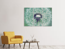 Laden Sie das Bild in den Galerie-Viewer, Leinwandbild 3-teilig Close Up Pusteblume