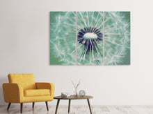 Laden Sie das Bild in den Galerie-Viewer, Leinwandbild 3-teilig Close Up Pusteblume