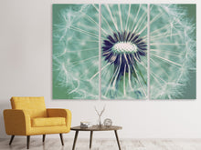 Laden Sie das Bild in den Galerie-Viewer, Leinwandbild 3-teilig Close Up Pusteblume