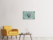 Laden Sie das Bild in den Galerie-Viewer, Leinwandbild 3-teilig Close Up Pusteblume