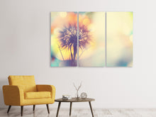Laden Sie das Bild in den Galerie-Viewer, Leinwandbild 3-teilig Die Pusteblume im Licht