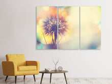Laden Sie das Bild in den Galerie-Viewer, Leinwandbild 3-teilig Die Pusteblume im Licht
