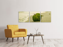 Laden Sie das Bild in den Galerie-Viewer, Panorama Leinwandbild 3-teilig Strand-Blatt