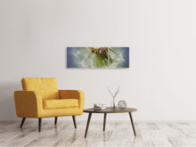 Laden Sie das Bild in den Galerie-Viewer, Panorama Leinwandbild 3-teilig Löwenzahn Close up