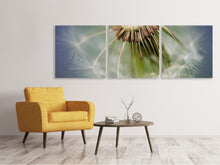 Laden Sie das Bild in den Galerie-Viewer, Panorama Leinwandbild 3-teilig Löwenzahn Close up