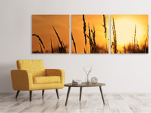 Laden Sie das Bild in den Galerie-Viewer, Panorama Leinwandbild 3-teilig Sonnenaufgang auf dem Feld
