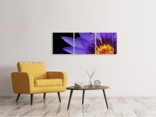 Laden Sie das Bild in den Galerie-Viewer, Panorama Leinwandbild 3-teilig XL Seerose in lila
