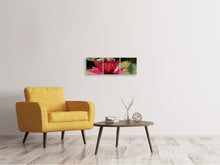 Laden Sie das Bild in den Galerie-Viewer, Panorama Leinwandbild 3-teilig Seerose in rot
