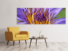 Laden Sie das Bild in den Galerie-Viewer, Panorama Leinwandbild 3-teilig XXL Seerose in lila
