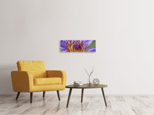 Laden Sie das Bild in den Galerie-Viewer, Panorama Leinwandbild 3-teilig XXL Seerose in lila
