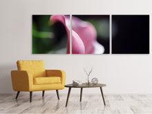 Laden Sie das Bild in den Galerie-Viewer, Panorama Leinwandbild 3-teilig Calla in lila
