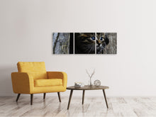 Laden Sie das Bild in den Galerie-Viewer, Panorama Leinwandbild 3-teilig Katzen Kind
