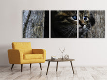 Laden Sie das Bild in den Galerie-Viewer, Panorama Leinwandbild 3-teilig Katzen Kind
