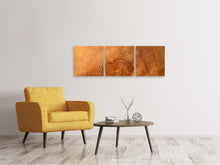 Laden Sie das Bild in den Galerie-Viewer, Panorama Leinwandbild 3-teilig Baumringe
