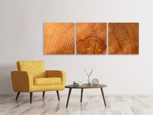 Laden Sie das Bild in den Galerie-Viewer, Panorama Leinwandbild 3-teilig Baumringe
